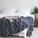 Плед 150x200 La Modno Diamond Blueberry-Beige 200178 фото 1